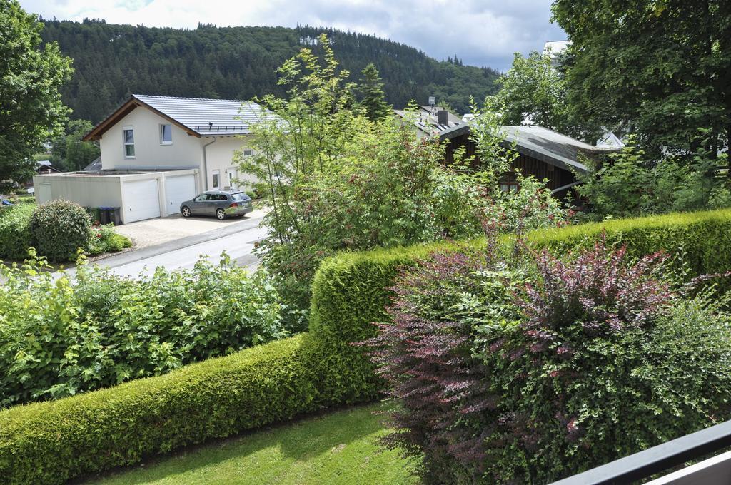 Apartamento Fewo Jager Willingen  Exterior foto